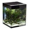 Glossy akvarie Cube 50x50x63 cm 132 L Sort
