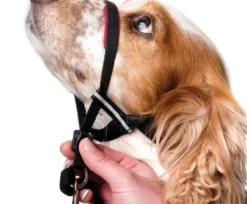 Halti OptiFit snudesele til hund medium nr 3