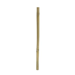 Hobby Gul bambus 50 cm Ø 2 - 3 cm.