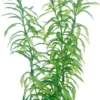 Hobby Heteranthera 25 cm
