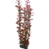Hobby Ludwiga 34 cm