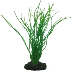 Hobby Sagittaria 20 cm
