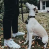 Hunter Aalborg Førerline til Hund Mørkebrun 16/100