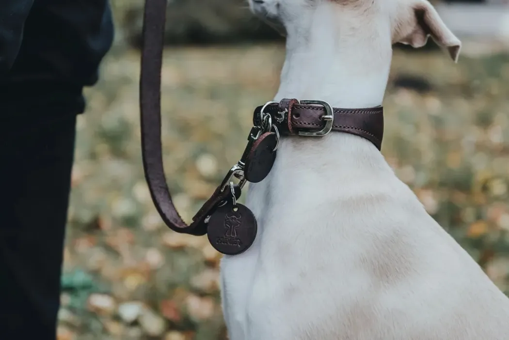 Hunter Aalborg Førerline til Hund Mørkebrun 16/100