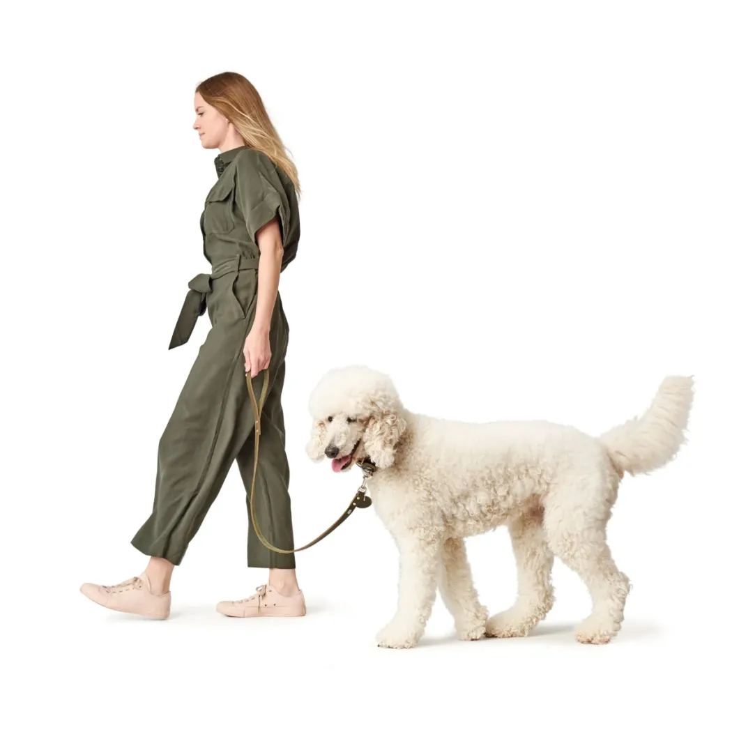 Hunter Aalborg Førerline til Hund Oliven 13/110