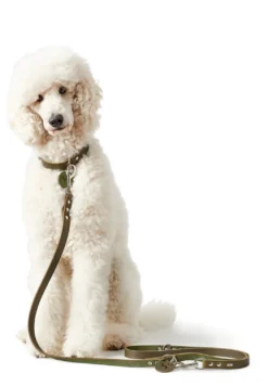 Hunter Aalborg Hundesnor Oliven 13/200