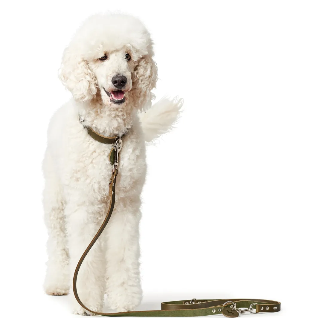 Hunter Aalborg Hundesnor Oliven 20/200