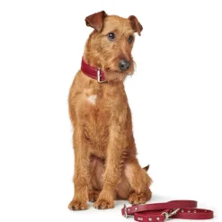 Hunter Aalborg Rustica Rød 55 - 40-48 cm