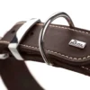 Hunter Aalborg Special Hundehalsbånd Brun 45 - 30-38 cm