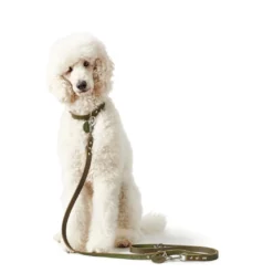 Hunter Aalborg Sport Oliven 32 hundehalsbånd - 24-29 cm