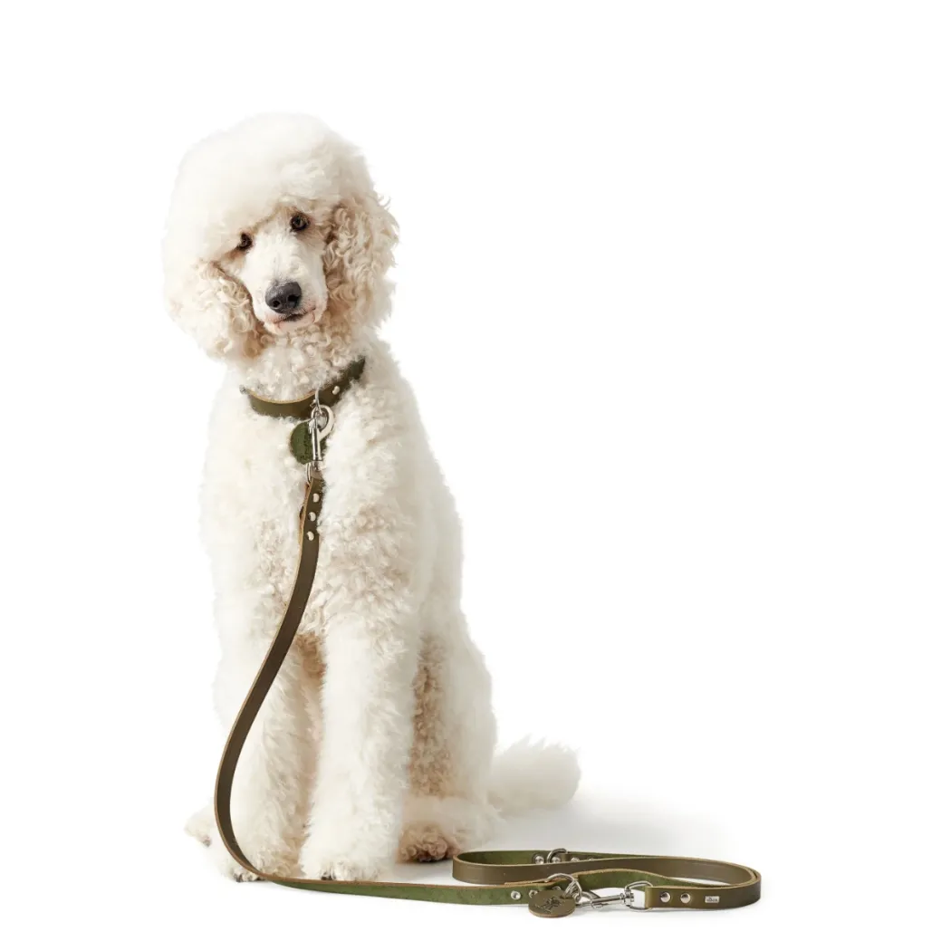 Hunter Aalborg Sport Oliven 32 hundehalsbånd - 24-29 cm