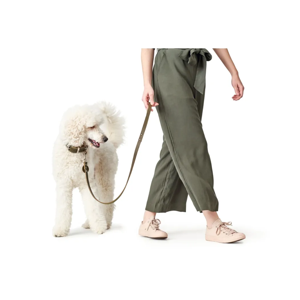 Hunter Aalborg Sport Oliven 32 hundehalsbånd - 24-29 cm
