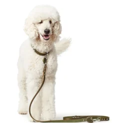 Hunter Aalborg Sport Oliven 37 hundehalsbånd - 28-33 cm