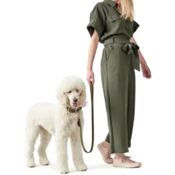 Hunter Aalborg Sport Oliven 42 hundehalsbånd - 32-38 cm