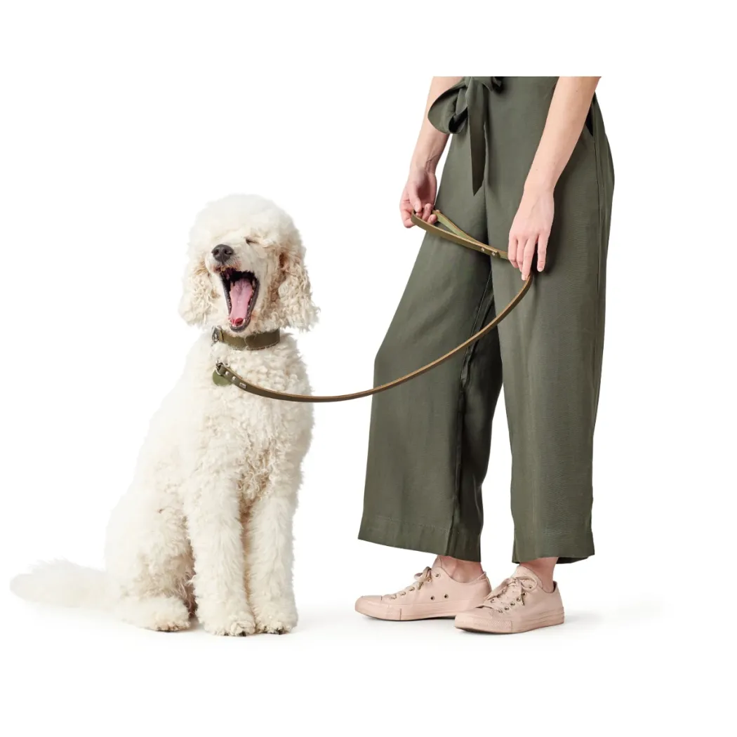 Hunter Aalborg Sport Oliven 47 hundehalsbånd - 37-43 cm