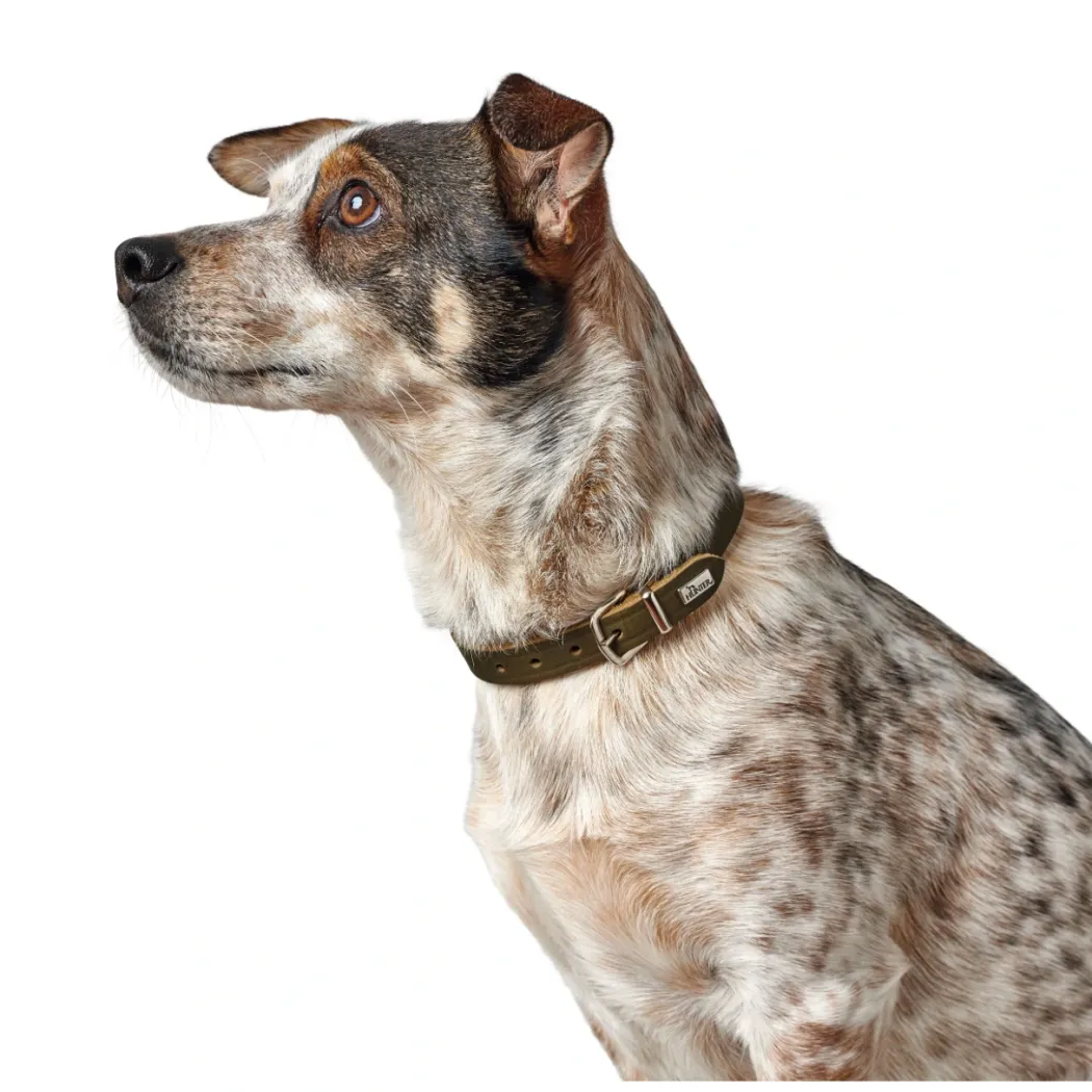 Hunter Aalborg Sport Oliven 52 hundehalsbånd - 38-47 cm