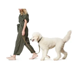 Hunter Aalborg Sport Oliven 52 hundehalsbånd - 38-47 cm