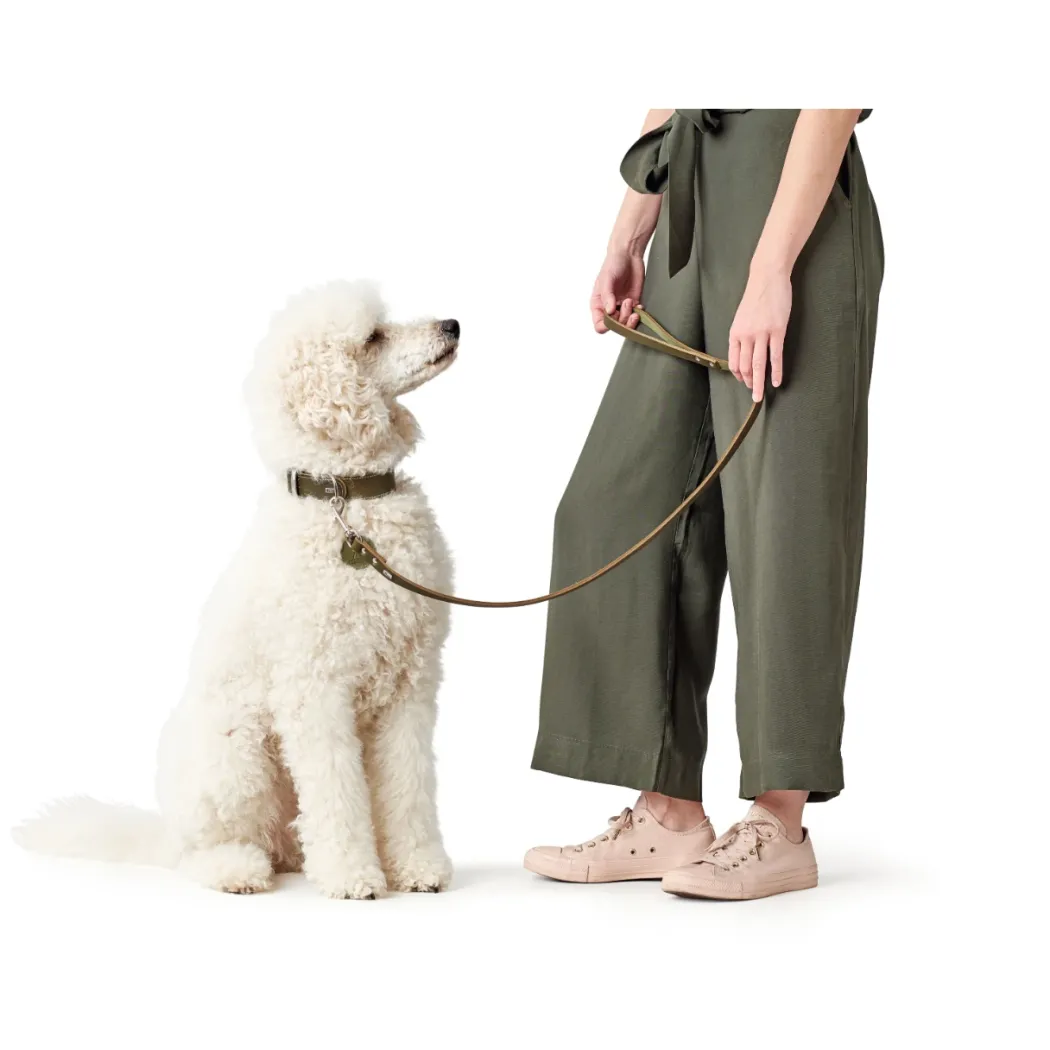 Hunter Aalborg Sport Oliven 52 hundehalsbånd - 38-47 cm