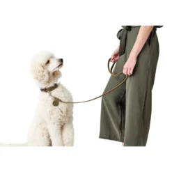Hunter Aalborg Sport Oliven 52 hundehalsbånd - 38-47 cm