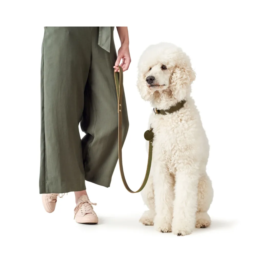 Hunter Aalborg Sport Oliven 60 hundehalsbånd - 45-55 cm