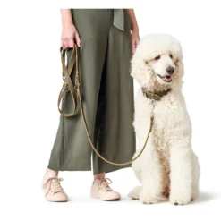 Hunter Aalborg Sport Oliven 60 hundehalsbånd - 45-55 cm
