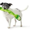 Hunter Aqua Mindelo Grøn - flydende vandlegetøj til hunde