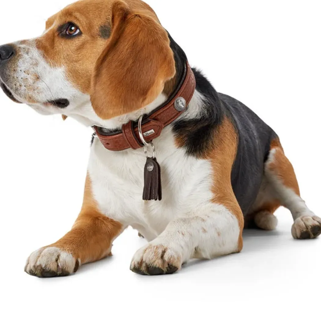 Hunter Cody 60 Cognac Mørkebrun hundehalsbånd - 46-52 cm