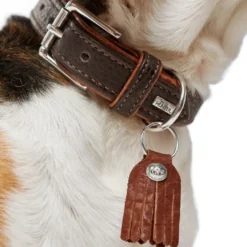 Hunter Cody 40 Mørkebrun Cognac hundehalsbånd - 29-35 cm