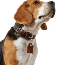Hunter Cody 45 Mørkebrun Cognac hundehalsbånd - 33-39 cm