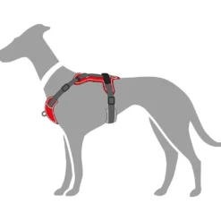 Hunter Divo hundesele L rød/grå just mave 72-100 cm - Kraftig støtte og komfort