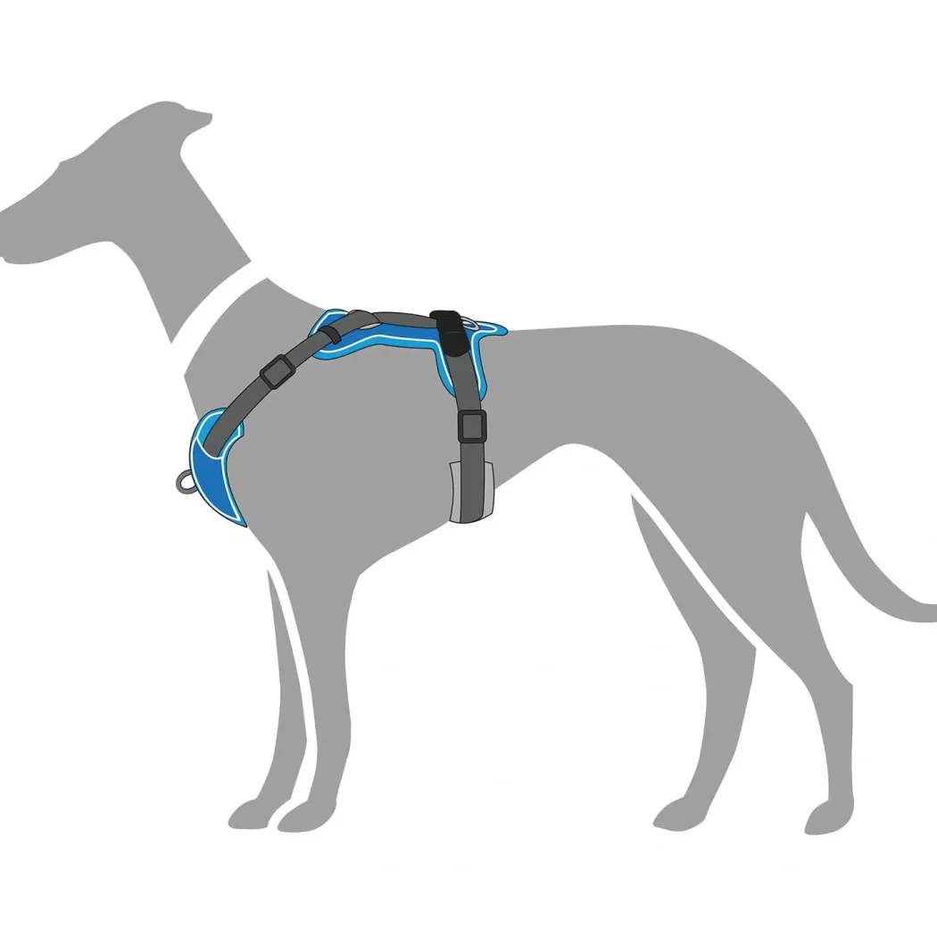 Hunter Divo hundesele L-XL lyseblå/grå just mave 79-107 cm - Sikker pasform og høj komfort