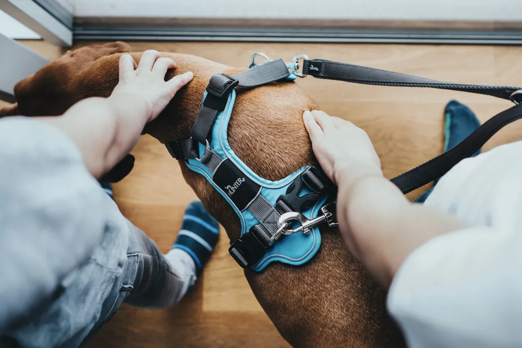 Hunter Divo hundesele L-XL lyseblå/grå just mave 79-107 cm - Sikker pasform og høj komfort