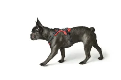Hunter Divo hundesele L-XL rød/grå just mave 79-107 cm - Ekstra stabilitet og komfort