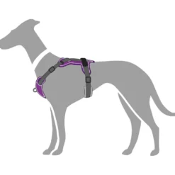 Hunter Divo hundesele L-XL violet/grå just mave 79-107 cm - Ergonomisk komfort og refleks