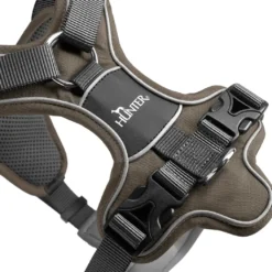 Hunter Divo hundesele M brun/grå just mave 56-73 cm - Stabil komfort og sikker pasform