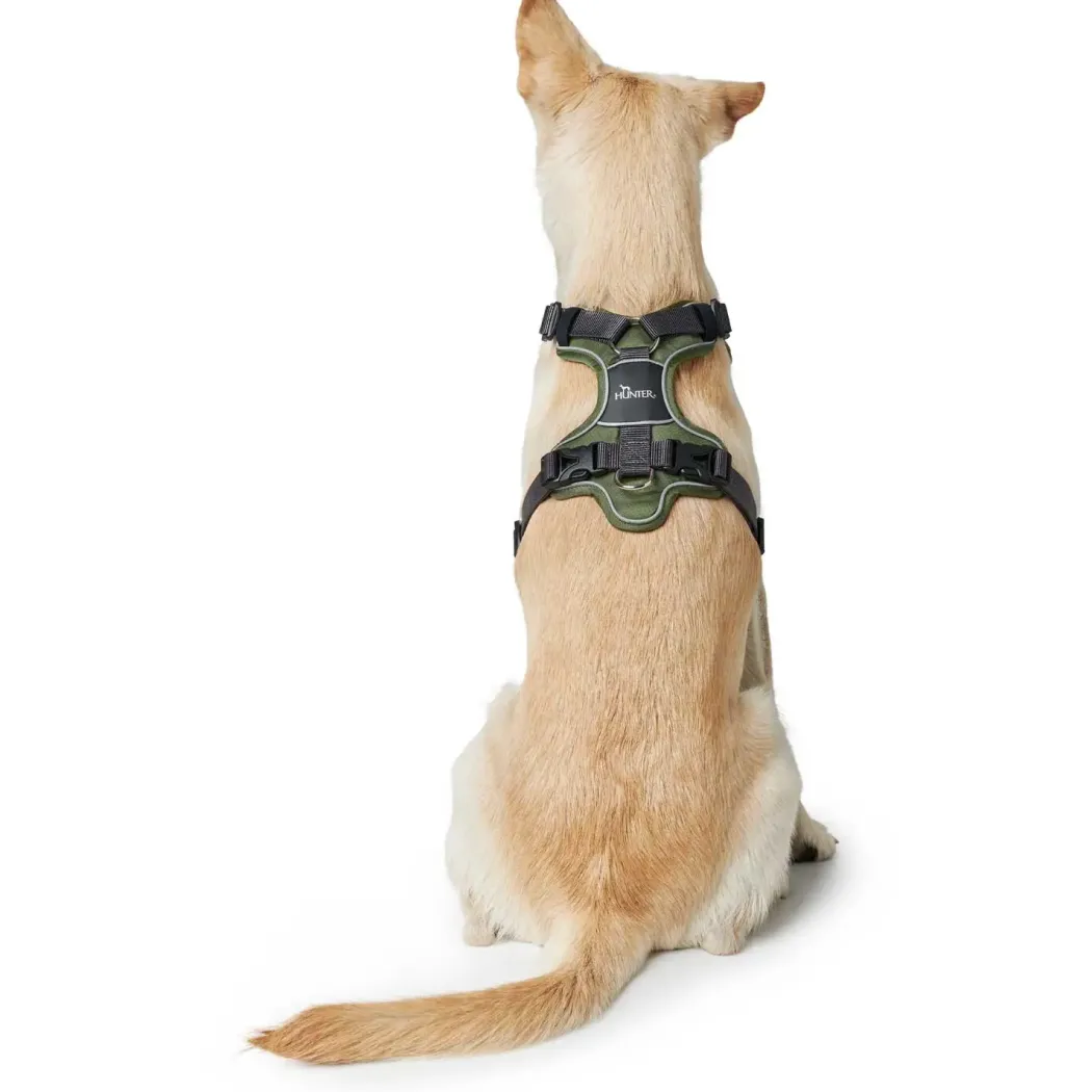 Hunter Divo hundesele M grøn/grå just mave 56-73 cm - Stabil kontrol og komfort