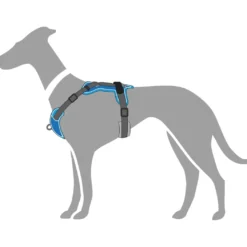 Hunter Divo hundesele M lyseblå/grå just mave 56-73 cm - Stabil pasform og aktiv komfort