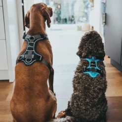 Hunter Divo hundesele M petrol/grå just. mave 56-73 cm - Stabil bevægelse og ergonomisk komfort