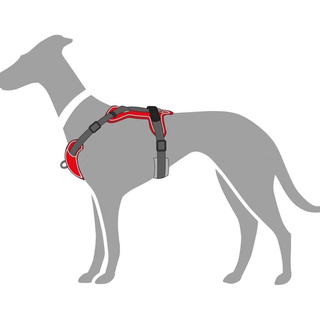 Hunter Divo hundesele M rød/grå just mave 56-73 cm - Stabil pasform og aktiv komfort