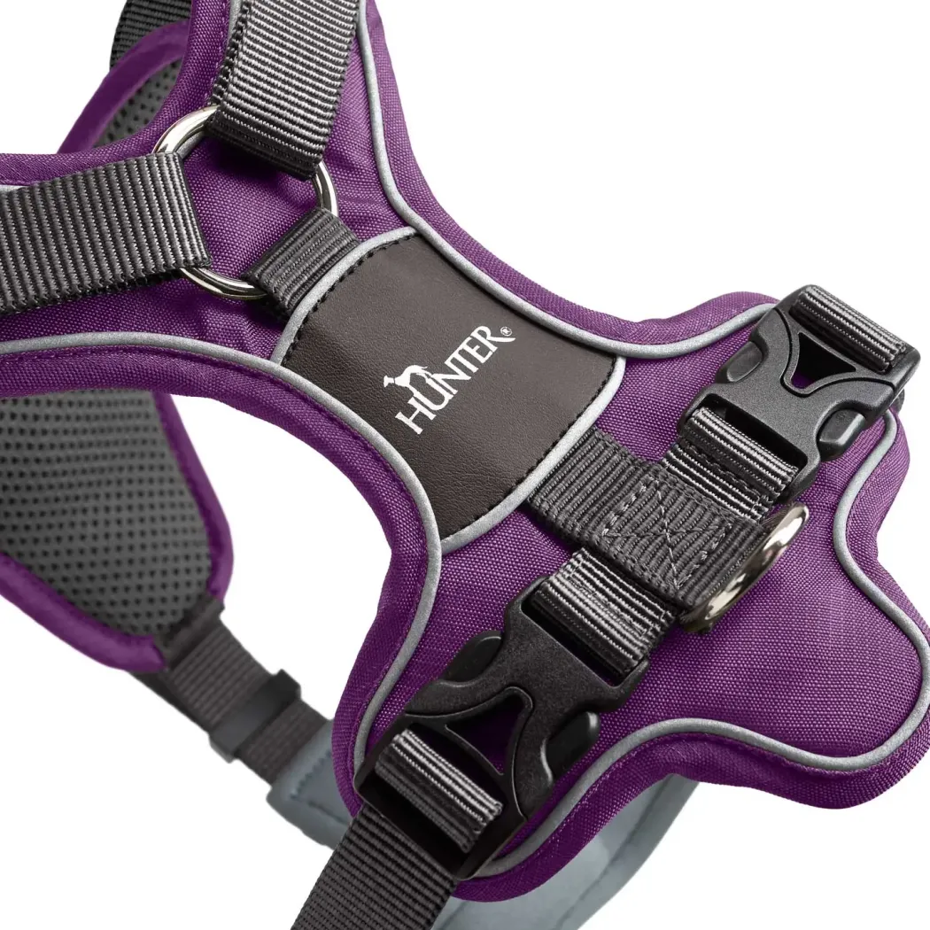 Hunter Divo hundesele M violet/grå just mave 56-73 cm - Balanceret pasform og komfort