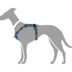 Hunter Divo hundesele S-M petrol/grå just mave 52-68 cm - Stabil støtte og rolig bevægelse
