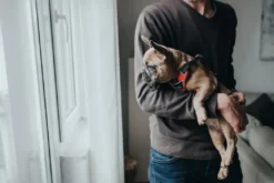 Hunter Divo hundesele S rød/grå just mave 45-56 cm - Smidig pasform og stabil kontrol