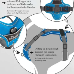 Hunter Divo hundesele S violet/grå just mave 45-56 cm - Tryg pasform og bevægelse