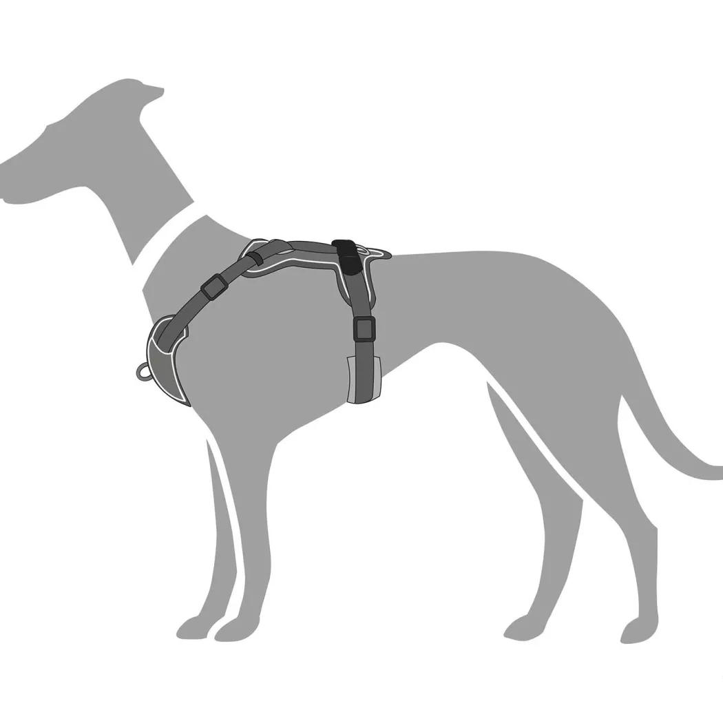 Hunter Divo hundesele XS grå/grå just mave 34-47 cm - Stabil kontrol og komfort