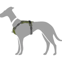 Hunter Divo hundesele XS grøn/grå just mave 34-47 cm - Let komfort og tryg pasform