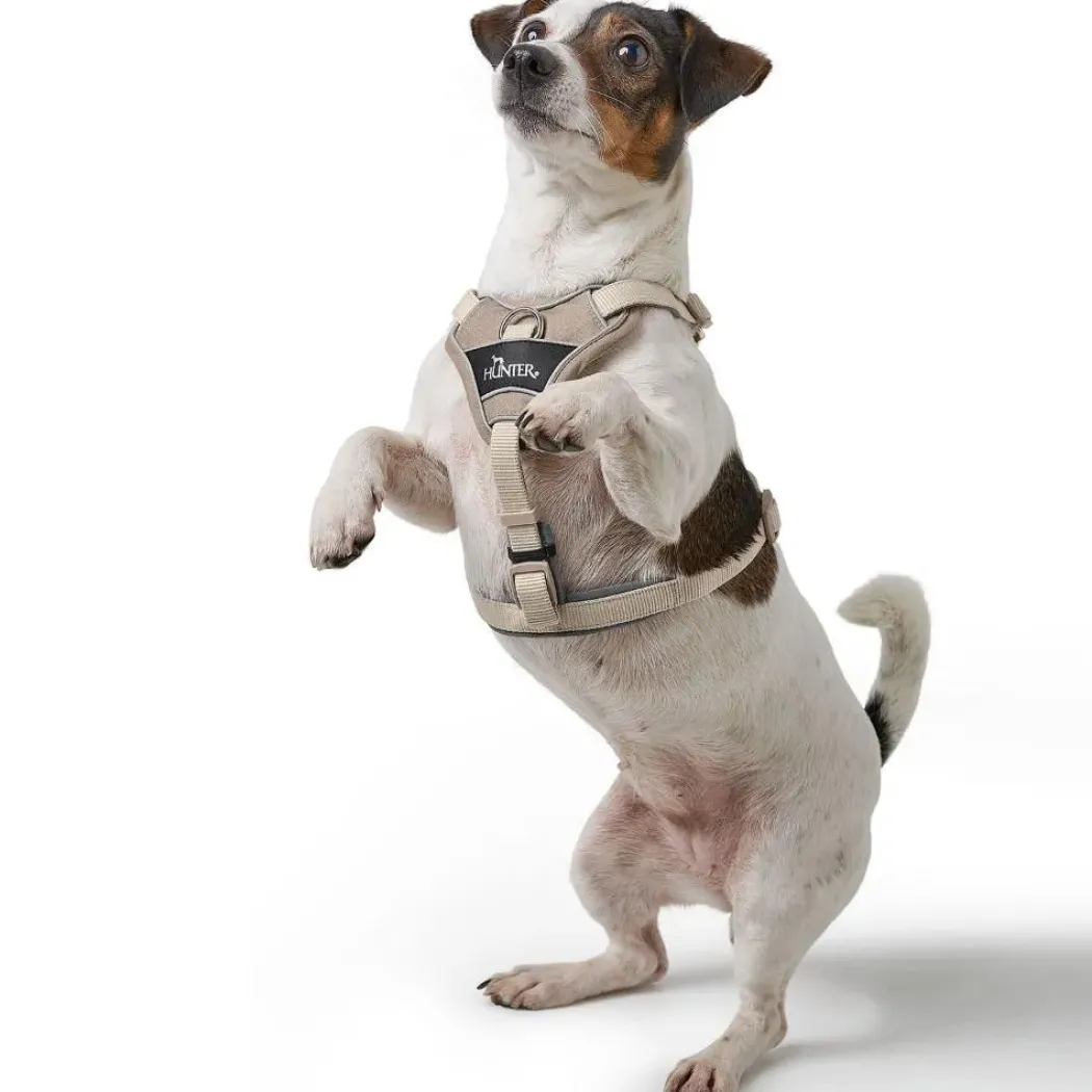 Hunter Divo Up hundesele L beige just mave 72-100 cm - Stabil støtte og tryg bevægelse