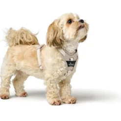 Hunter Divo Up hundesele L beige just mave 72-100 cm - Stabil støtte og tryg bevægelse