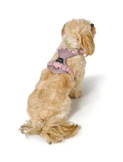 Hunter Divo Up hundesele L-XL lyserød just mave 79-107 cm - Stabil støtte og tryg kontrol