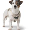 Hunter Divo Up hundesele M beige just mave 56-73 cm - Stabil bevægelse og ergonomisk komfort