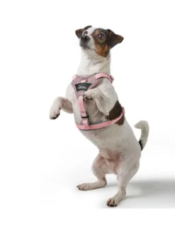 Hunter Divo Up hundesele S lyserød just mave 45-56 cm - Rolig påtagning og stabil komfort